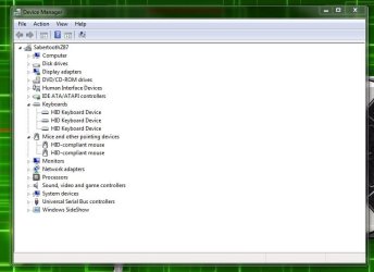 Capture1.JPG