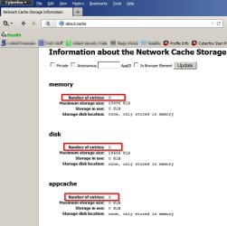 Cyberfox Cache.jpg Cyberfox Cache.jpg