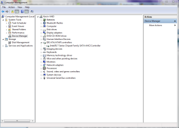 Capture of IDE ATA.ATAPI.PNG