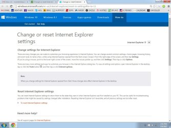 RESET I.E. BROWSER.jpg
