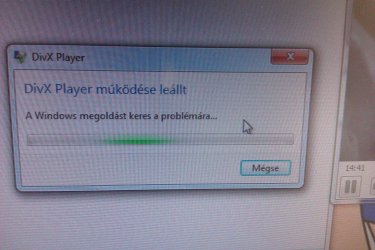 IMAG0294.jpg