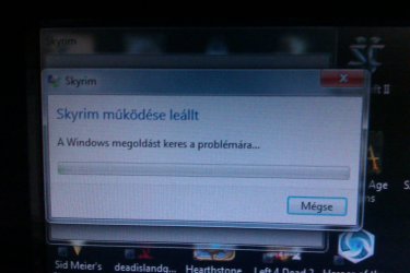 IMAG0292.jpg