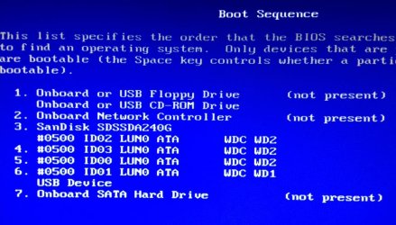 BOOT.jpg