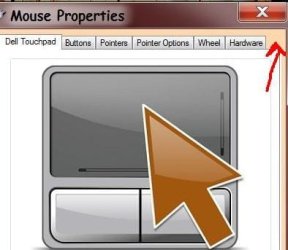 mouse 2.jpg