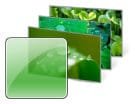 Greenery.jpg Greenery.jpg