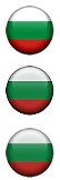 bulg2.png