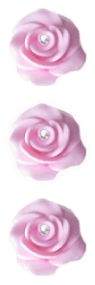 Pink rose.png
