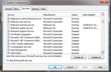 Services3 after restart and running IE.jpg
