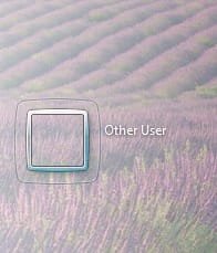 Untitled.jpg