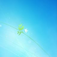ThoosjesWindows7LogonScreenEditor.jpg