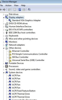 dispaygraphicadapters.jpg