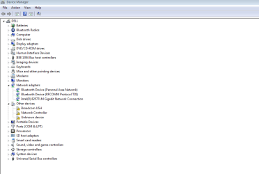 device manager.PNG