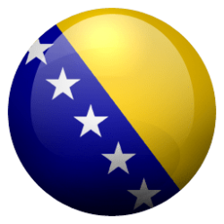 bosnia flag.png