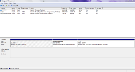TZXLYD's Disk Mgmt capture.PNG