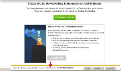 Downloading extension format 1.jpg