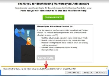 Downloading extension format 2.jpg