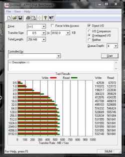 8970.jpg