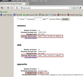Browser Cache 2.jpg