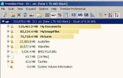 TreeSizeFree&ImageFiles0915.jpg