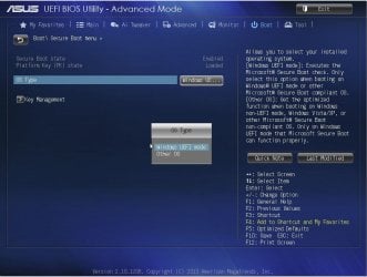 BOOT-SECUREBOOT MENU-OS TYPE-WINDOWS UEFI MODE.JPG