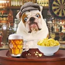 dog with beer download.jpg dog with beer download.jpg