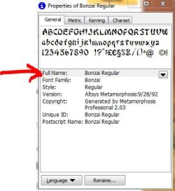 11.JPG