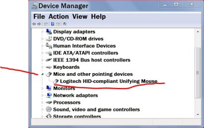 Mouse for today.JPG