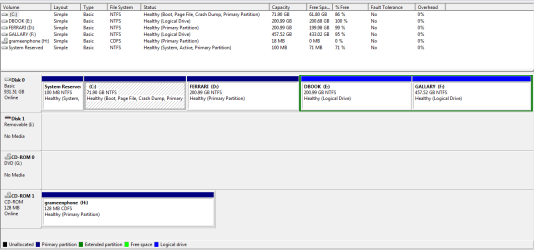 Disk Partitions New.PNG