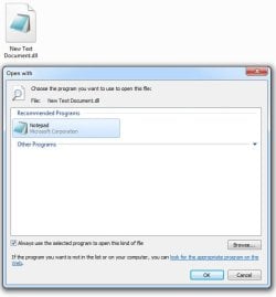 DLL-extension.jpg