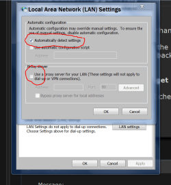 Proxy settings.PNG Proxy settings.PNG