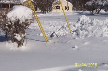 Shovelin Out 1_24_16 Blizzard 2016_03.jpeg Shovelin Out 1_24_16 Blizzard 2016_03.jpeg