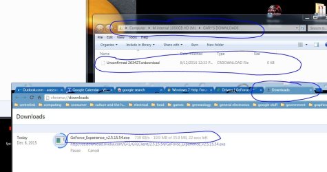 Pic showing greyed entries  .JPG