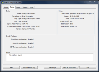DirectX Diag.png
