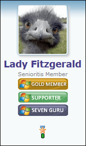 LF_Medal.PNG