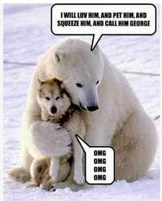666aabdbear with wolf.jpg