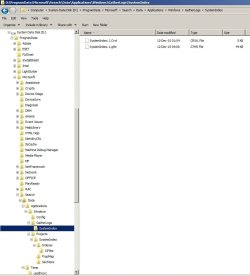 Screen Shot 2.jpg
