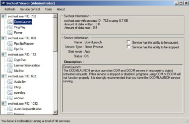 Svchost Viewer (Administrator).jpg