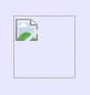 graphics.jpg