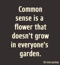 Common Sense.jpg