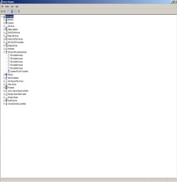 DM-Mice & other pointing devices.jpg