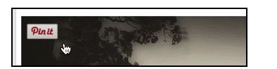 PINIT.PNG