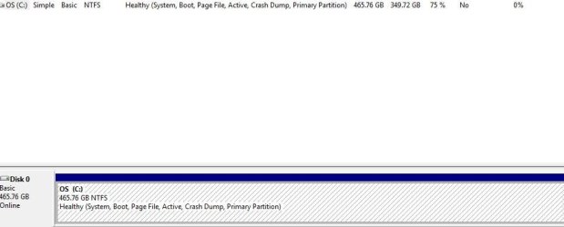 disc management2.JPG