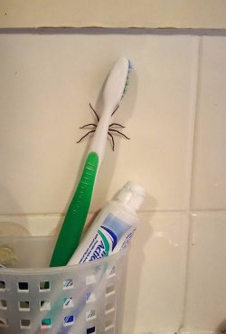 skip the brush.jpg