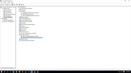 Device Manager-Drive Option.jpg
