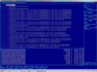 WindowsUpdateDownload_2.jpg