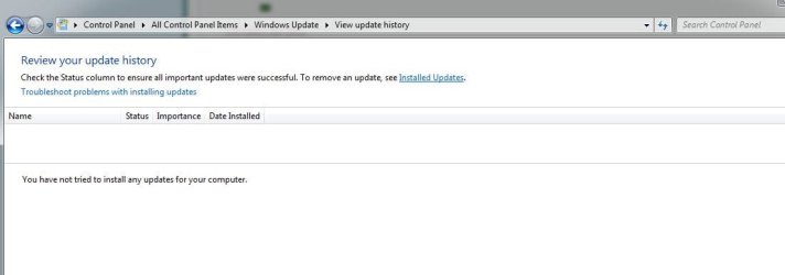 Windows 1.JPG