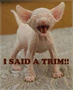 I sad a trim d7e2637d7da7f092ffbe7c6abbac21cb.jpg
