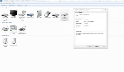 Device Manager Capture.PNG