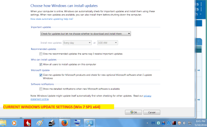 WINDOWS UPDATE SETTINGS.png