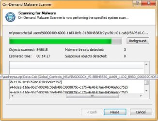 MalScan1.jpg